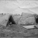 01-pinterovitservin31914