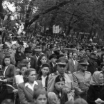 009-1947f