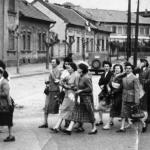 085-1960-as-evekb