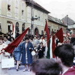 139-1964t