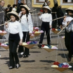 176-1976d