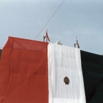 239-1985b_resize