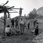 54