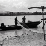 56